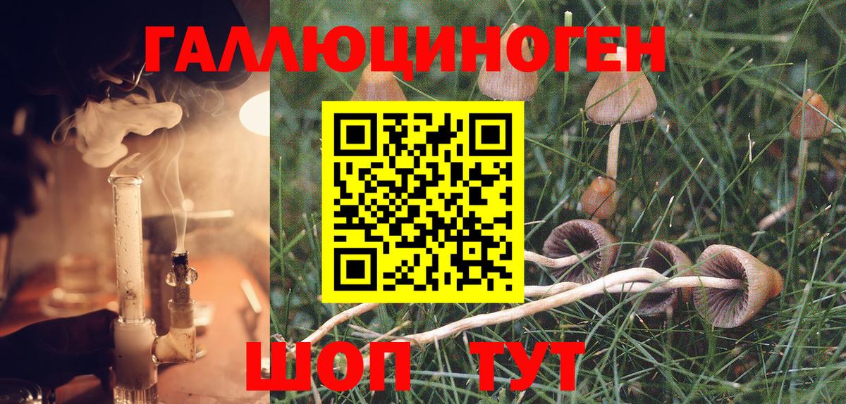 Галлюциногенные грибы Psilocybine cubensis  Вход с VPN  Полевской 
